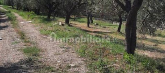 4100m² Land in Melizzano, Italy No. 177063 8