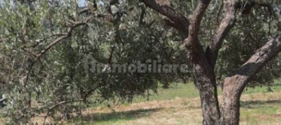 4100m² Land in Melizzano, Italy No. 177063 11