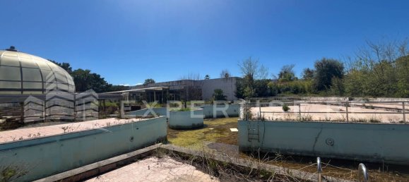 عقار تجاري في Furnari, Italy 4945متر مربع رقم 111749 17