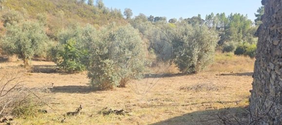 2 bedrooms House in Proenca a Nova, Portugal No. 177185 6