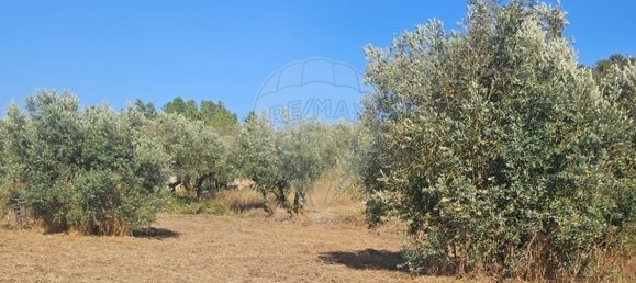 2 bedrooms House in Proenca a Nova, Portugal No. 177185 7