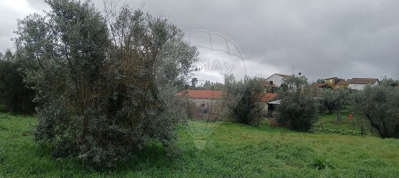 2 bedrooms House in Proenca a Nova, Portugal No. 177185 16