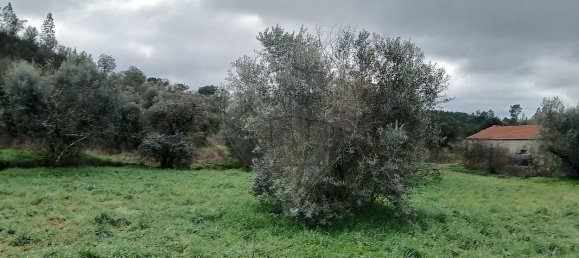 2 bedrooms House in Proenca a Nova, Portugal No. 177185 17