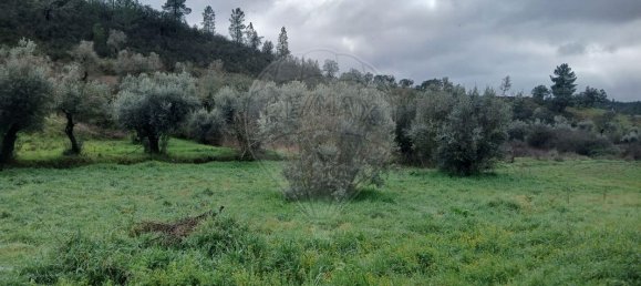 2 bedrooms House in Proenca a Nova, Portugal No. 177185 20