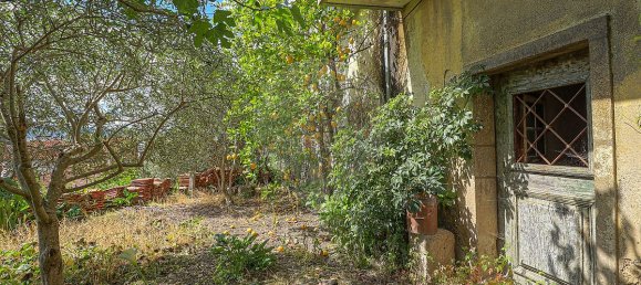 8 bedrooms House in Mondim de Basto, Portugal No. 17129 25