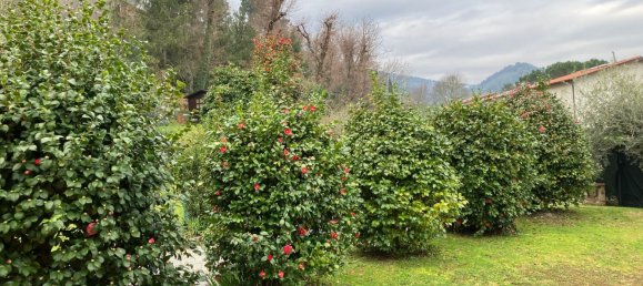 12غرفة فيلا في Capannori, Italy رقم 148456 31