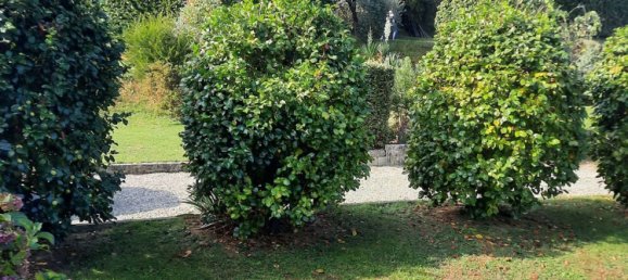 12غرفة فيلا في Capannori, Italy رقم 148456 2