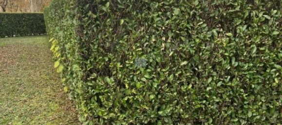 Apartamento T2 em Selvazzano Dentro, Italy N.º 320251 14