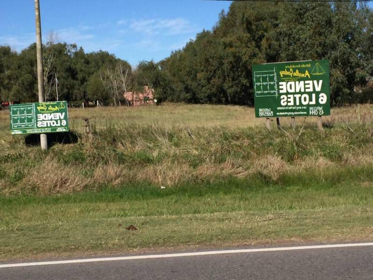  Land in Canuelas, Argentina No. 49671