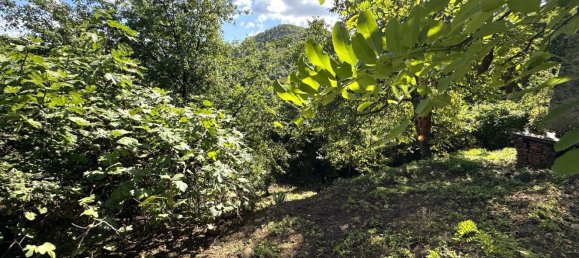 3 bedrooms Apartment in Vernio, Italy No. 339276 19