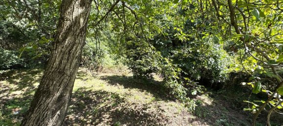 3 bedrooms Apartment in Vernio, Italy No. 339276 21