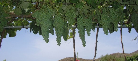 4 bedrooms Townhouse in San Miguel de Abona, Spain No. 129964 14