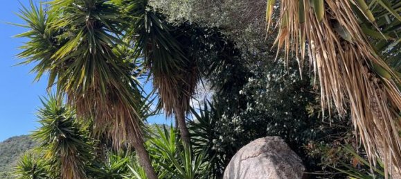 5 rooms Villa in Olbia, Italy No. 231779 60