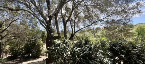 5 rooms Villa in Olbia, Italy No. 231779 58