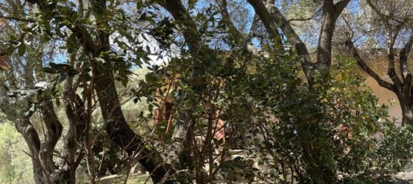 5 rooms Villa in Olbia, Italy No. 231779 74