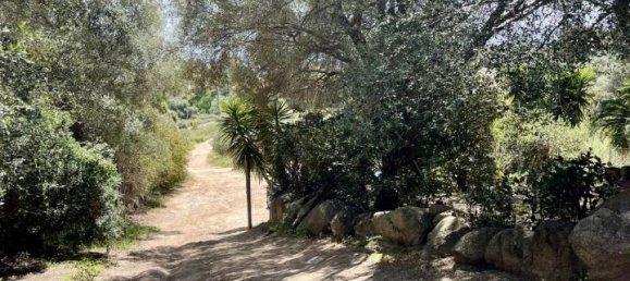 5 rooms Villa in Olbia, Italy No. 231779 73