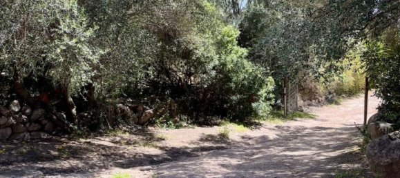 5 rooms Villa in Olbia, Italy No. 231779 67