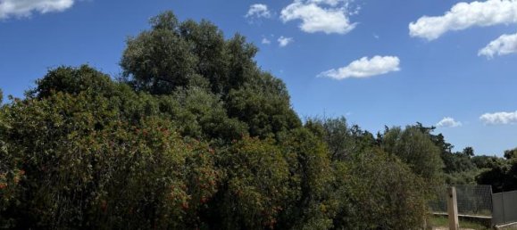 5 rooms Villa in Olbia, Italy No. 231779 78