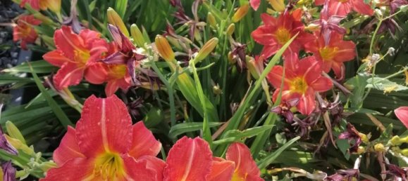 Apartamento de 2 divisões em Nuremberg, Germany N.º 154153 12