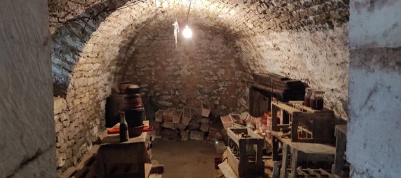 4 bedrooms House in Montiers-sur-Saulx, France No. 264318 18