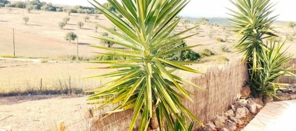 4 Schlafzimmer Haus in Santarem, Portugal, Nr. 26318 44