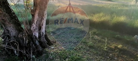 4 Schlafzimmer Haus in Santarem, Portugal, Nr. 26318 41