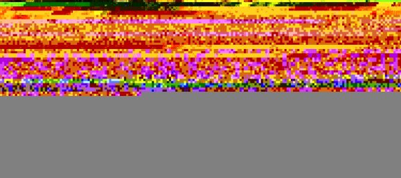 5-Zimmer Wohnung in Salerno, Italy, Nr. 11304 29