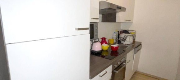 2-Zimmer Doppelhaus in Graz, Austria, Nr. 120146 2