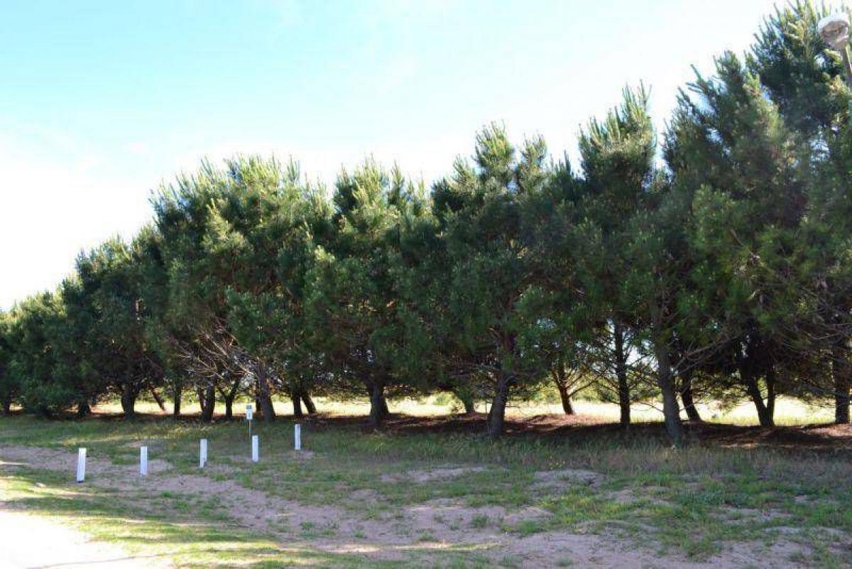 Terrain à Mar del Plata, Argentina No. 114702