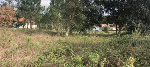 Terrain à Alcobaca, Portugal 1500m² No. 76957 10