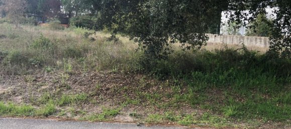 Terrain à Alcobaca, Portugal 1500m² No. 76957 18