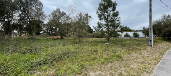 Terrain à Alcobaca, Portugal 1500m² No. 76957 7