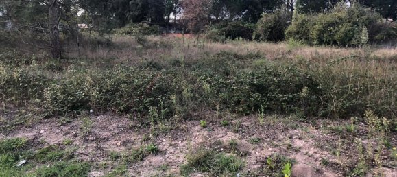 Terrain à Alcobaca, Portugal 1500m² No. 76957 21