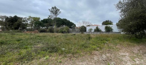 Terrain à Alcobaca, Portugal 1500m² No. 76957 4