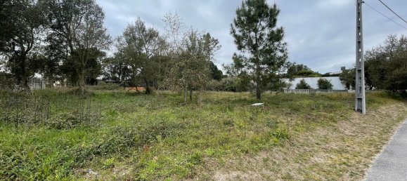 Terrain à Alcobaca, Portugal 1500m² No. 76957 2