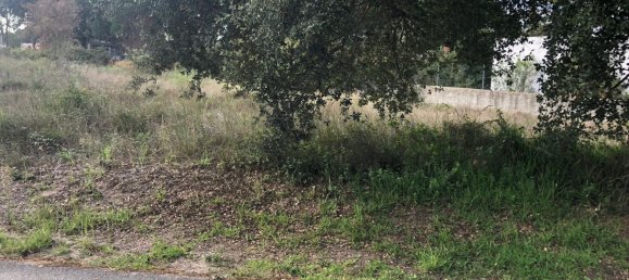 Terrain à Alcobaca, Portugal 1500m² No. 76957 19