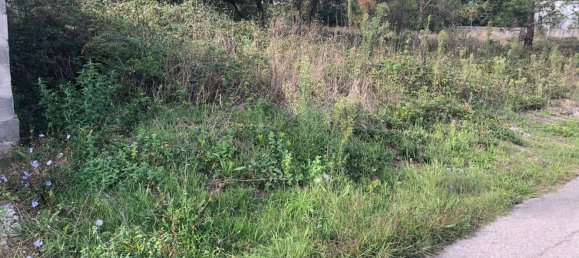 Terrain à Alcobaca, Portugal 1500m² No. 76957 13