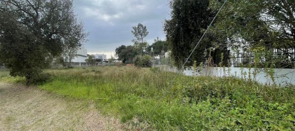 Terrain à Alcobaca, Portugal 1500m² No. 76957 6