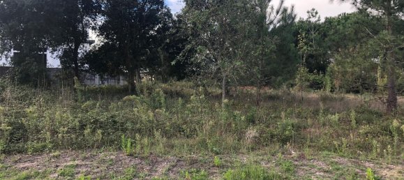 Terrain à Alcobaca, Portugal 1500m² No. 76957 16