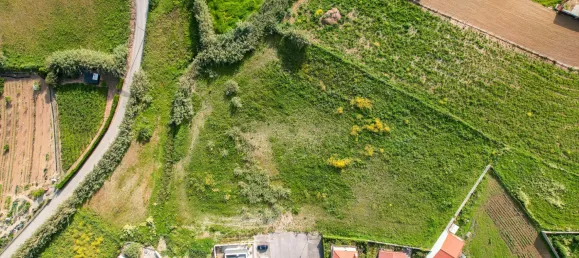 10001m² Land in Mafra, Portugal No. 139769 9