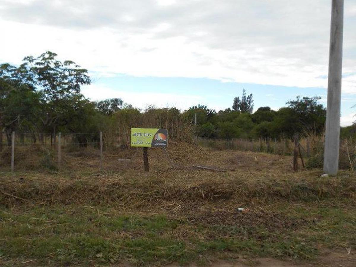 Terrain à San Luis, Argentina No. 48356