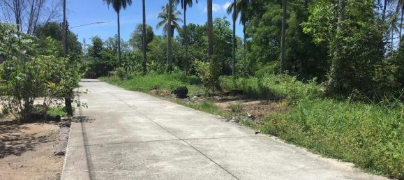 964m² Commercial property in Khok Kloi, Thailand No. 8055 3