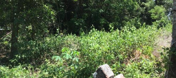 964m² Commercial property in Khok Kloi, Thailand No. 8055 4