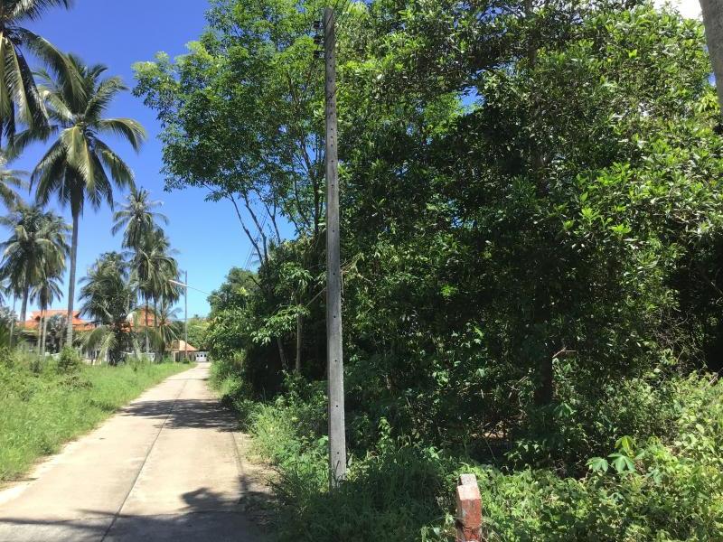 964m² Commercial property in Khok Kloi, Thailand No. 8055