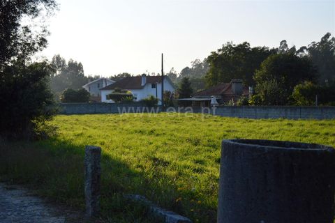  Land in Barcelos, Portugal No. 202296