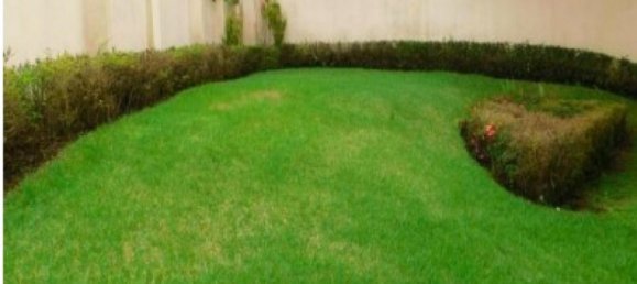 4 bedrooms House in Curridabat, Costa Rica No. 655 2