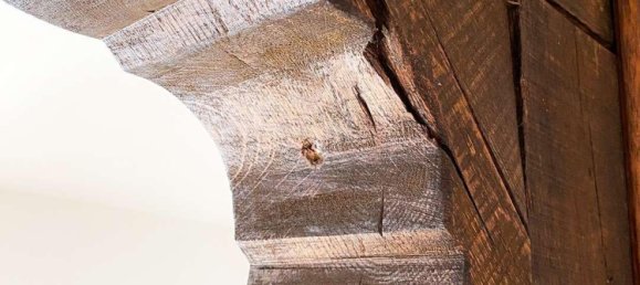 Ферма с 9 комнатами в Burscheid, Германия № 344260 13