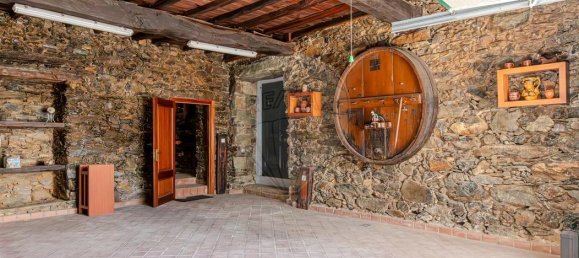 8 Schlafzimmer Haus in Peso da Regua, Portugal, Nr. 271650 14