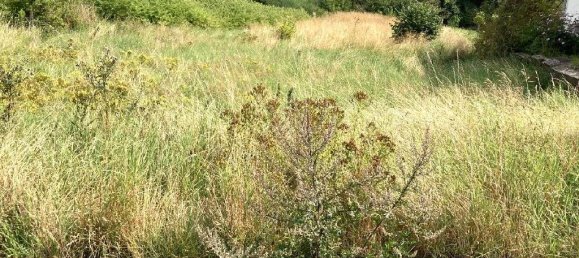 Terrain à Werra-Meisner, Germany 1300m² No. 139905 2