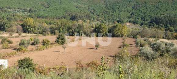 11000m² Land in Paul, Portugal No. 77022 5